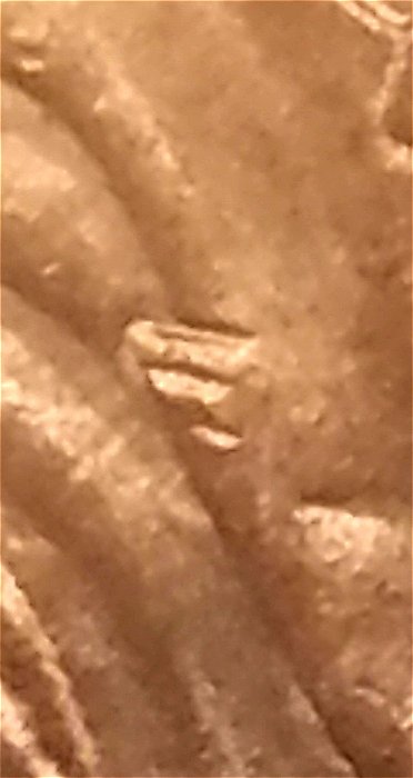 1999-D-Lincoln-Cent-Unusual-Extra-Die-Strikes-On-Bust-Of-Obverse?